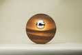 Ripple Wall Lamp - Coffee Silverskin
