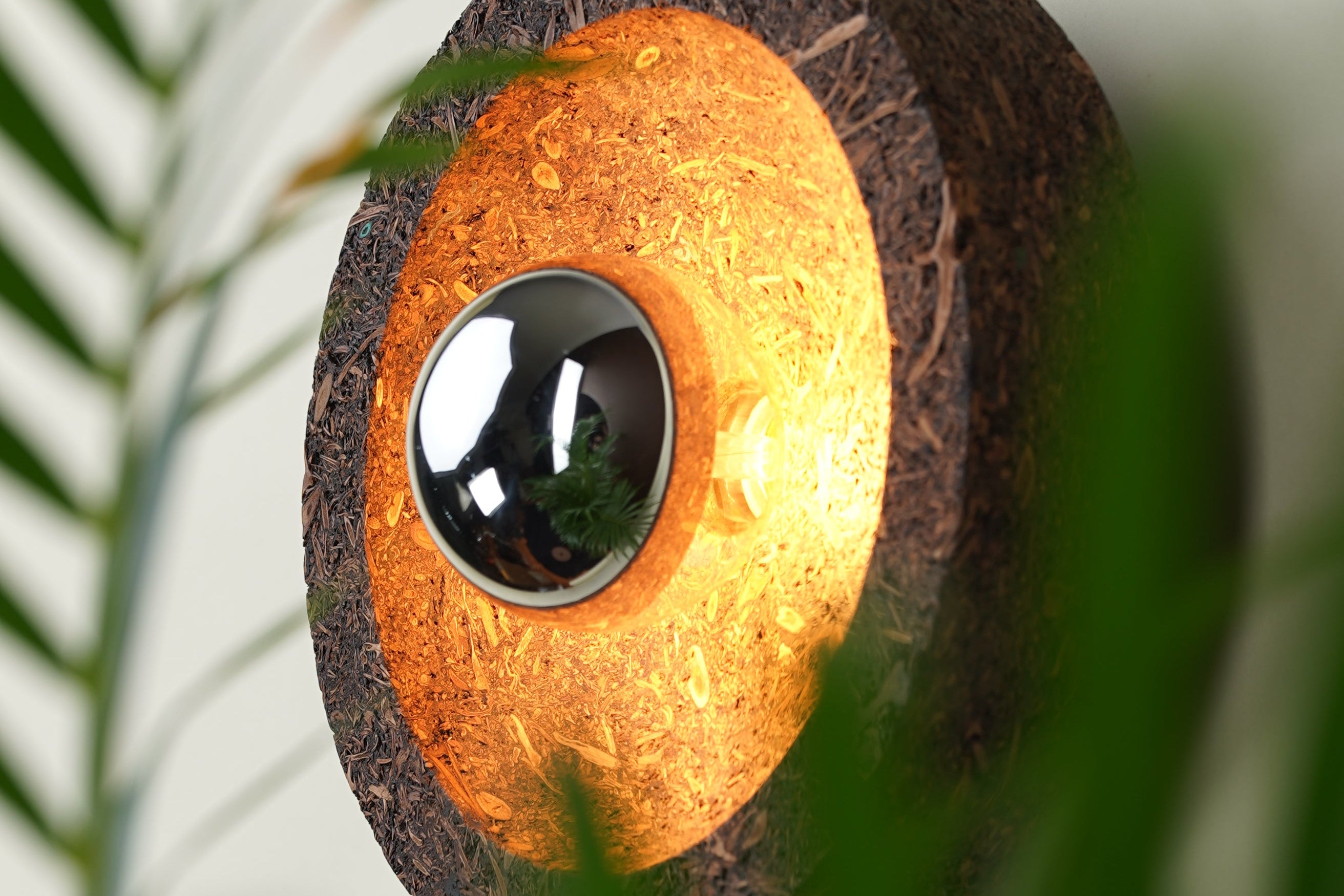 Terroir — Grape Stalk Wall Lamp