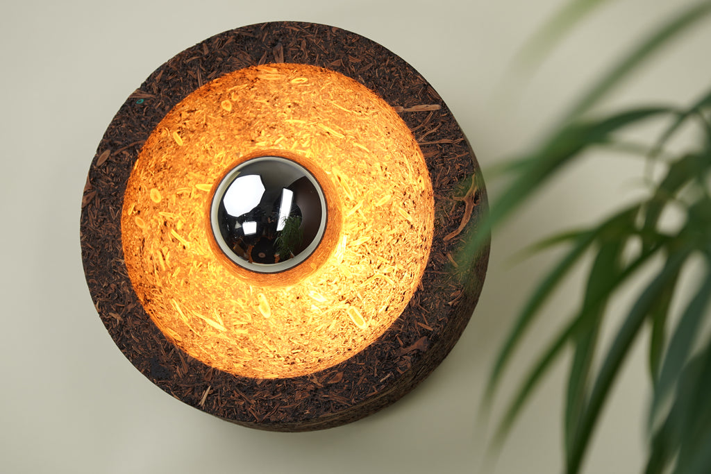 Terroir — Grape Stalk Wall Lamp